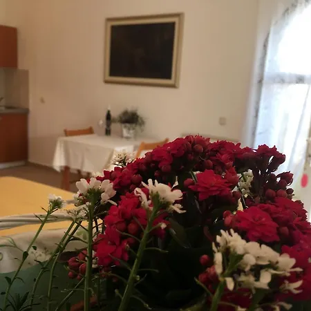 Appartement Nena Tkon